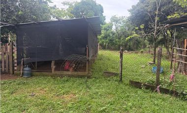 Venta de finca en Balita, Tinajas, Chiriquí