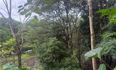 Venta de finca en Balita, Tinajas, Chiriquí