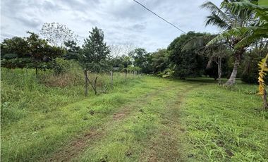 Venta de finca en Balita, Tinajas, Chiriquí
