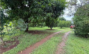 Venta de finca en Balita, Tinajas, Chiriquí