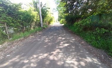 SECTOR UNIHUE - SANTA JUANA