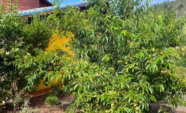 Casa en venta en CONCEPCIÓN