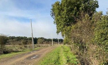 Parcela en venta  en SAN NICOLÁS