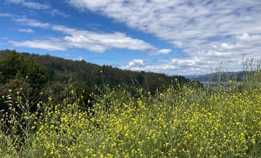 Sitio en Venta en Sector Villuco Alto