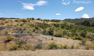 Agrícola en Venta en RIO BAKER  EL ARBOLITO