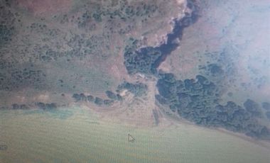 Agrícola en Venta en RIO BAKER  EL ARBOLITO