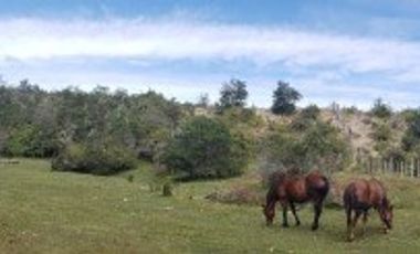 Agrícola en Venta en RIO BAKER  EL ARBOLITO