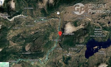 Agrícola en Venta en RIO BAKER  EL ARBOLITO