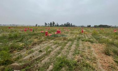 Terrenos Agricolas Venta Predio Rural San Juan Bautista  - VEGUETA