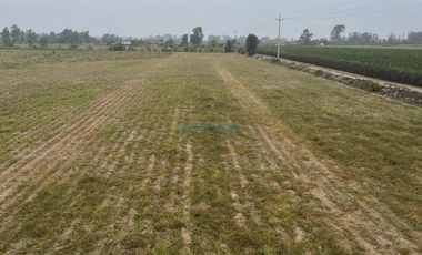 Terrenos Agricolas Venta Predio Rural San Juan Bautista  - VEGUETA