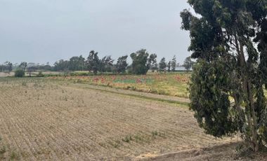 Terrenos Agricolas Venta Predio Rural San Juan Bautista  - VEGUETA