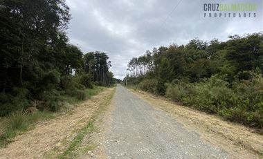 Parcela en Venta en Monte Verde