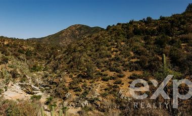 Sitio en Venta en Rancho Aleman, colliguay