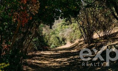 Sitio en Venta en Rancho Aleman, colliguay