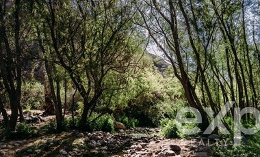 Sitio en Venta en Rancho Aleman, colliguay