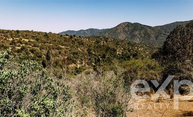 Sitio en Venta en Rancho Aleman, colliguay
