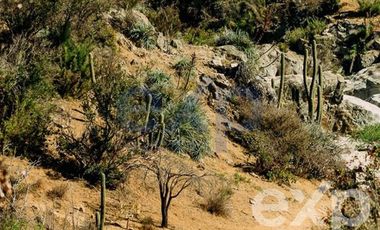 Sitio en Venta en Rancho Aleman, colliguay