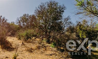 Sitio en Venta en Rancho Aleman, colliguay
