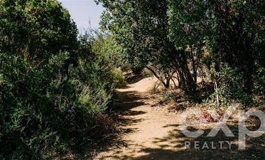 Sitio en Venta en Rancho Aleman, colliguay