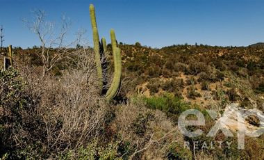 Sitio en Venta en Rancho Aleman, colliguay