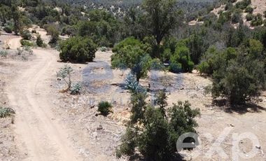 Sitio en Venta en Rancho Aleman, colliguay