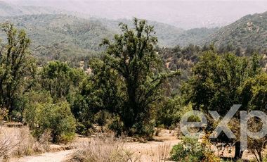 Terreno Construccion en Venta en Rancho Aleman, colliguay