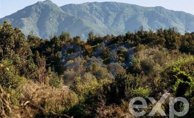 Terreno Construccion en Venta en Rancho Aleman, colliguay