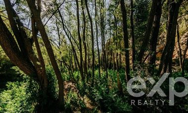 Terreno Construccion en Venta en Rancho Aleman, colliguay