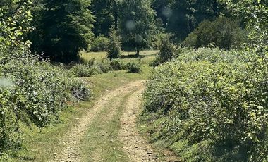 Agrícola en Venta en 17 hectáreas. Servidumbre al campo esta dentro del pueblo de Cañitas