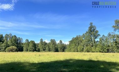 Agrícola en Venta en 17 hectáreas. Servidumbre al campo esta dentro del pueblo de Cañitas