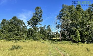 Agrícola en Venta en 17 hectáreas. Servidumbre al campo esta dentro del pueblo de Cañitas