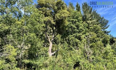 Agrícola en Venta en 17 hectáreas. Servidumbre al campo esta dentro del pueblo de Cañitas