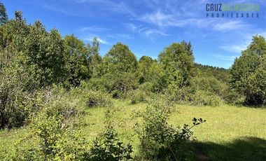 Agrícola en Venta en 17 hectáreas. Servidumbre al campo esta dentro del pueblo de Cañitas
