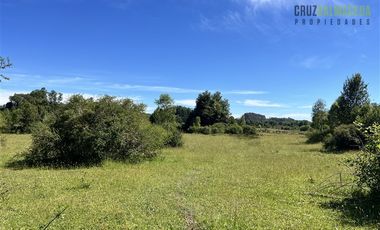 Agrícola en Venta en 17 hectáreas. Servidumbre al campo esta dentro del pueblo de Cañitas