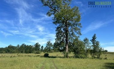 Agrícola en Venta en 17 hectáreas. Servidumbre al campo esta dentro del pueblo de Cañitas