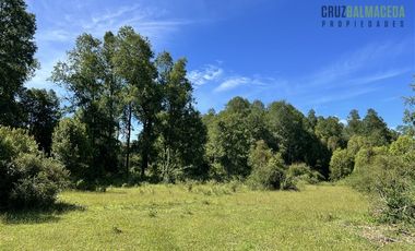 Agrícola en Venta en 17 hectáreas. Servidumbre al campo esta dentro del pueblo de Cañitas
