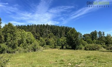 Agrícola en Venta en 17 hectáreas. Servidumbre al campo esta dentro del pueblo de Cañitas