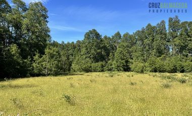 Agrícola en Venta en 17 hectáreas. Servidumbre al campo esta dentro del pueblo de Cañitas