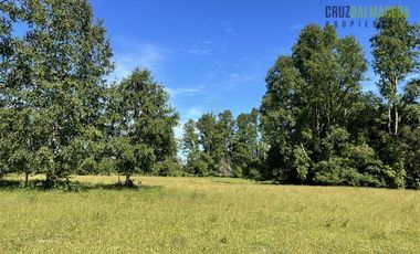 Agrícola en Venta en 17 hectáreas. Servidumbre al campo esta dentro del pueblo de Cañitas