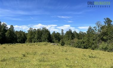 Agrícola en Venta en 17 hectáreas. Servidumbre al campo esta dentro del pueblo de Cañitas