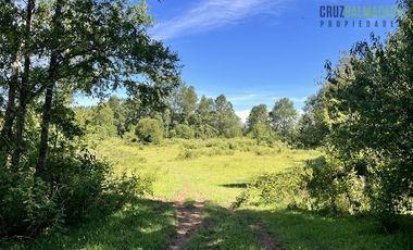 Agrícola en Venta en 17 hectáreas. Servidumbre al campo esta dentro del pueblo de Cañitas