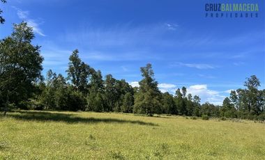Agrícola en Venta en 17 hectáreas. Servidumbre al campo esta dentro del pueblo de Cañitas