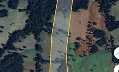 Agrícola en Venta en 17 hectáreas. Servidumbre al campo esta dentro del pueblo de Cañitas