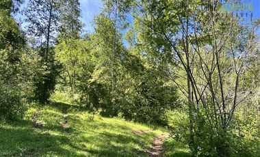 Agrícola en Venta en 17 hectáreas. Servidumbre al campo esta dentro del pueblo de Cañitas