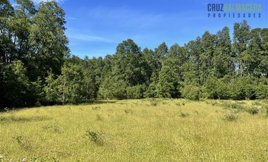 Agrícola en Venta en 17 hectáreas. Servidumbre al campo esta dentro del pueblo de Cañitas