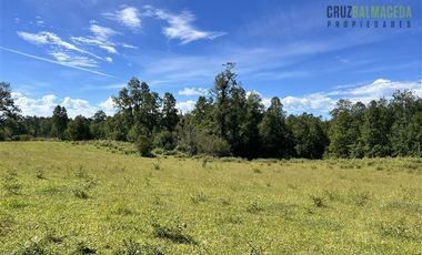 Agrícola en Venta en 17 hectáreas. Servidumbre al campo esta dentro del pueblo de Cañitas
