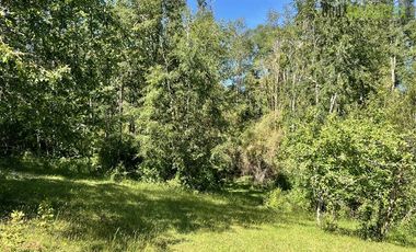 Agrícola en Venta en 17 hectáreas. Servidumbre al campo esta dentro del pueblo de Cañitas