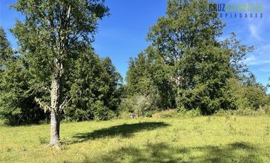 Agrícola en Venta en 17 hectáreas. Servidumbre al campo esta dentro del pueblo de Cañitas