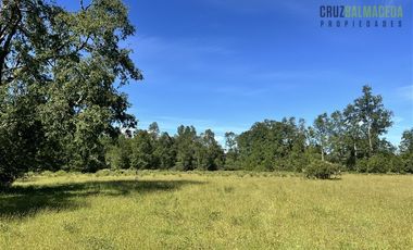 Agrícola en Venta en 17 hectáreas. Servidumbre al campo esta dentro del pueblo de Cañitas