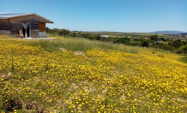 OPORTUNIDAD LINDA PARCELA EN VENTA SAN NICOLÁS ÑUBLE